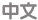 中文