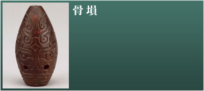 骨塤